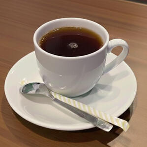 Oolong Tea ウーロン茶